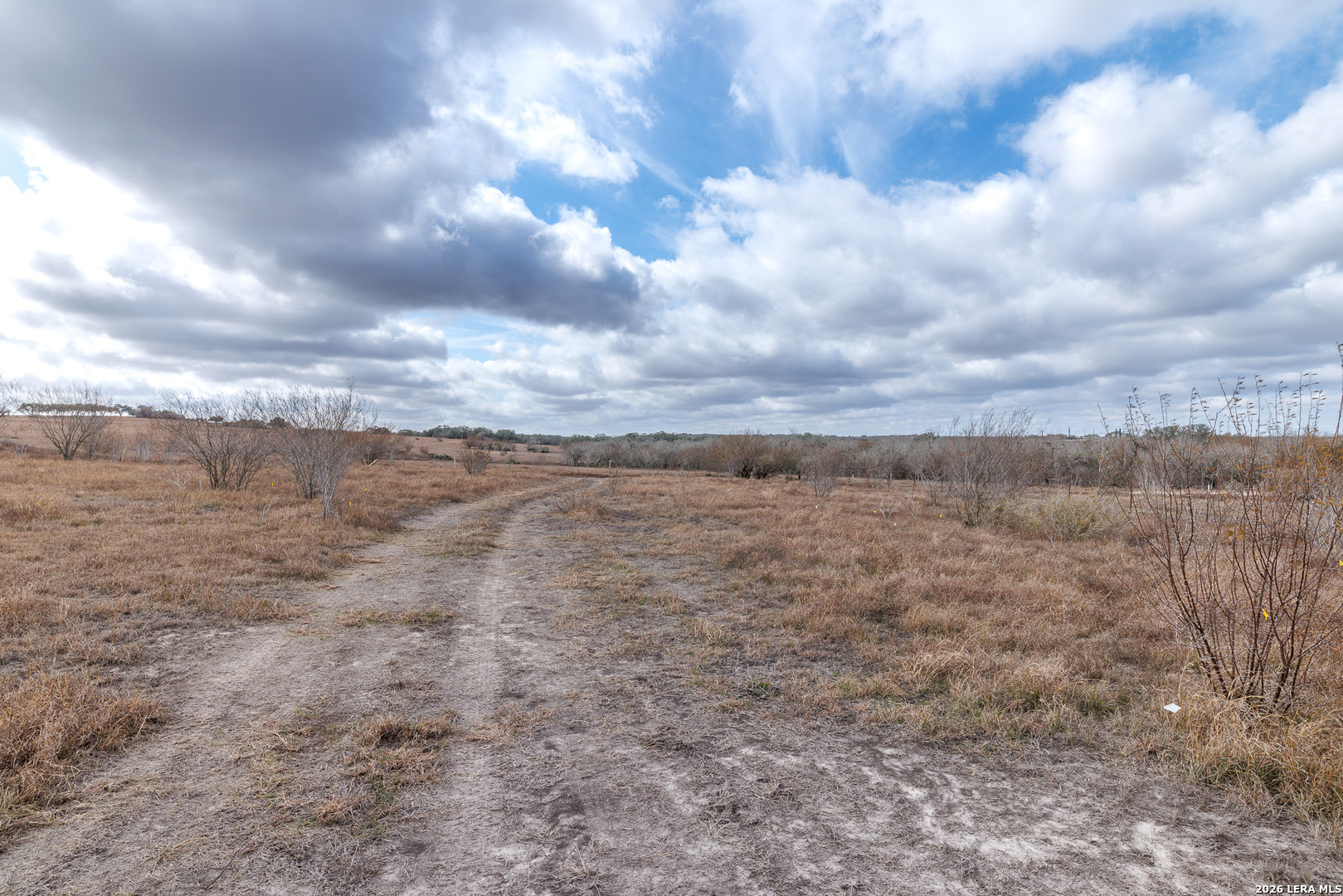 304 Smiley Tx 78159 Smiley, TX 78159 - Photo 9 of 14