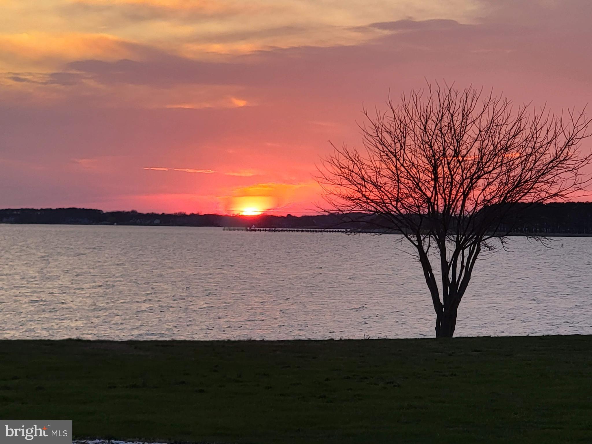 2856 Cox Neck Road Chester, MD 21619 - Photo 69 of 87