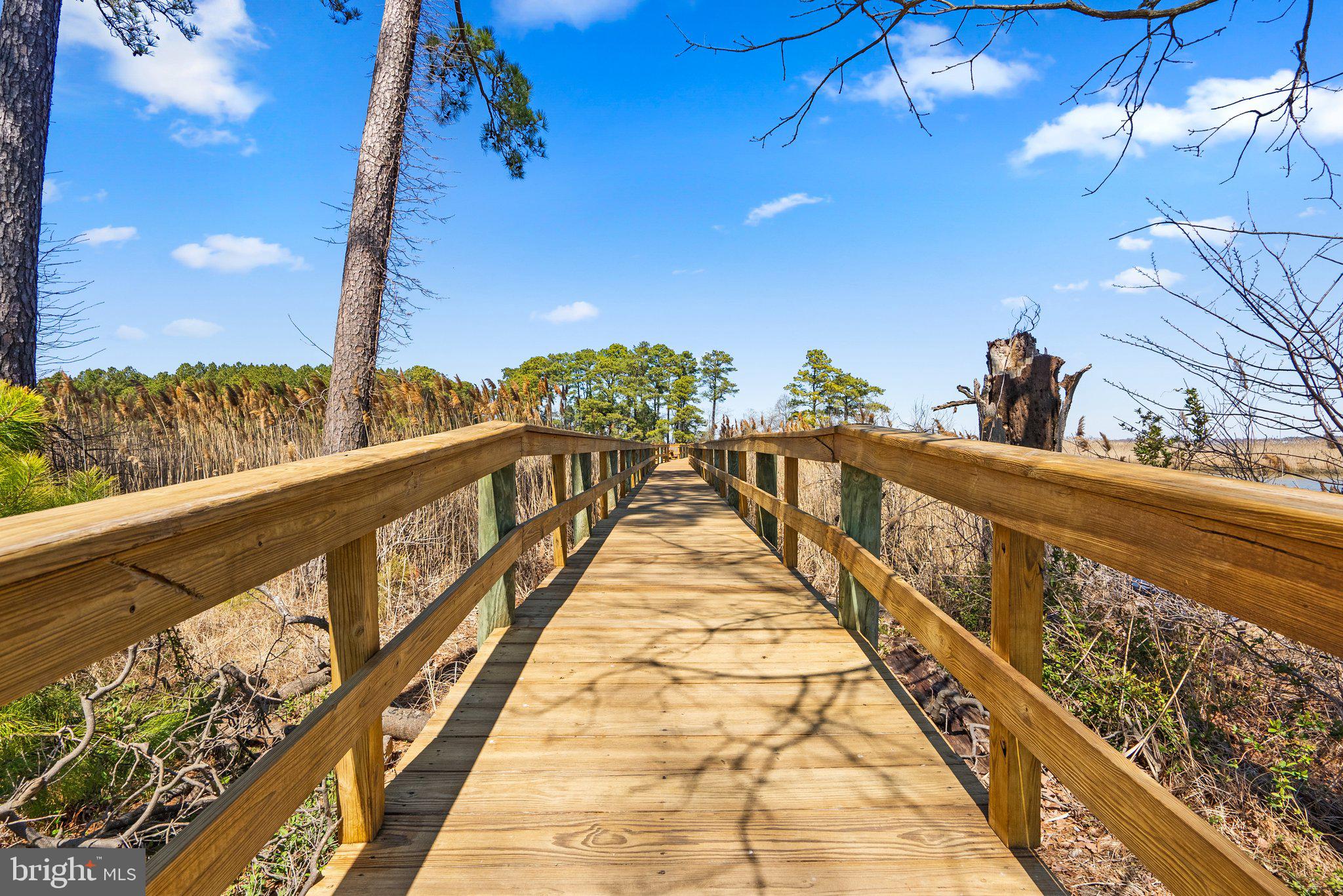 2856 Cox Neck Road Chester, MD 21619 - Photo 85 of 87 Nature trails