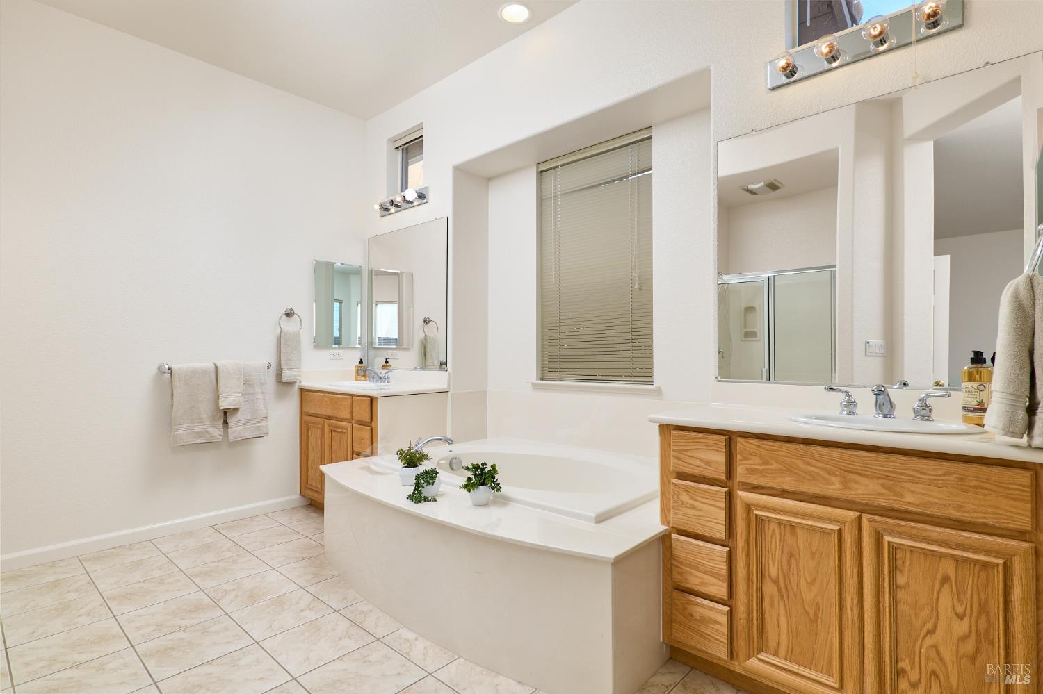 604 American Falls Drive Rio Vista, CA 94571 - Photo 23 of 39 a spacious bathroom with a bathtub sink and mirror