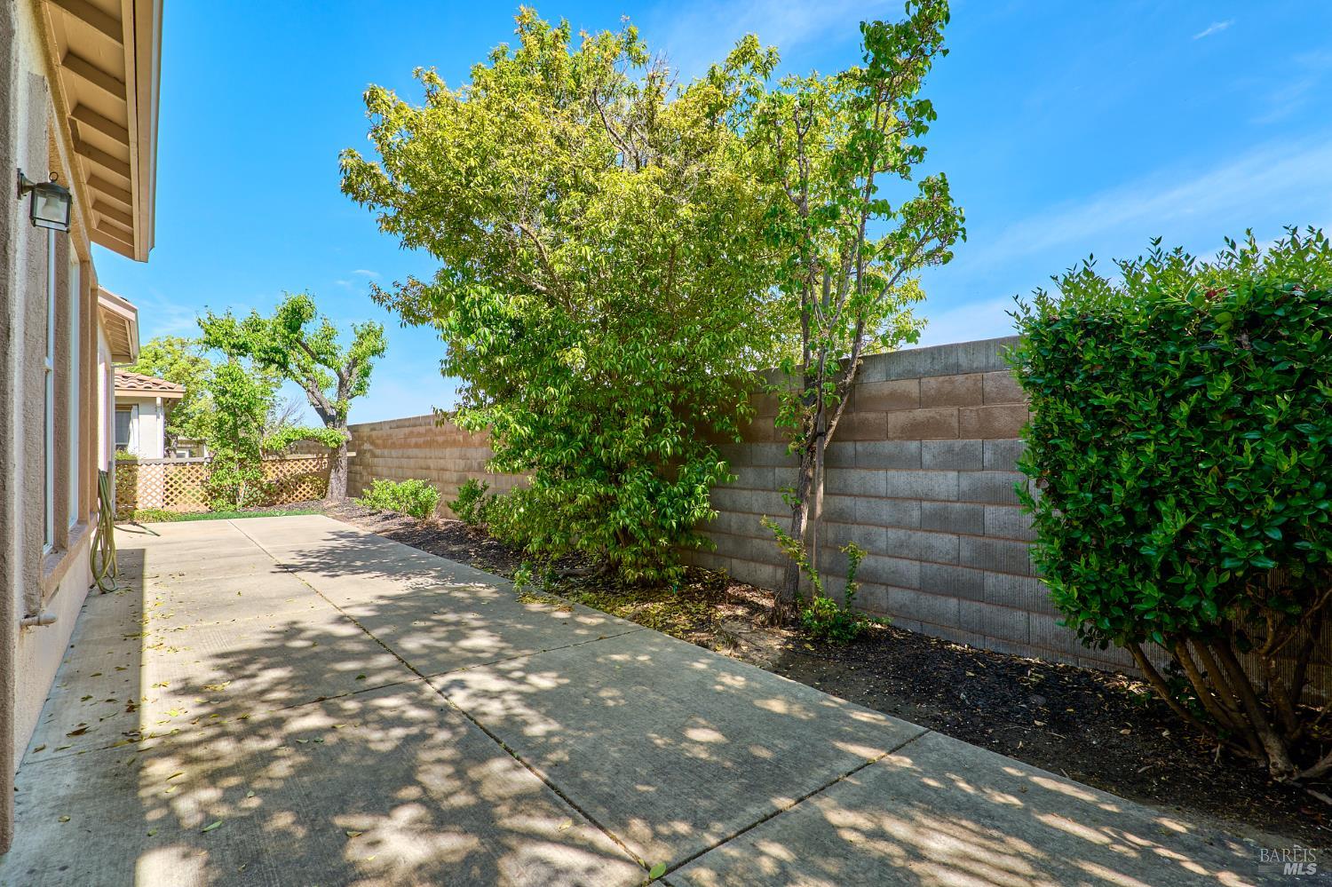 604 American Falls Drive Rio Vista, CA 94571 - Photo 38 of 39 a view of a pathway with a plants