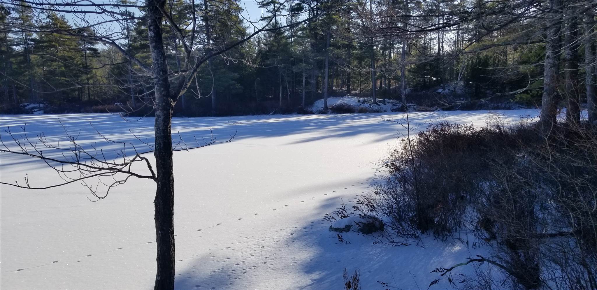 0 Ledgemere Estates Road Moultonborough, NH 03254 - Photo 4 of 6 Gallery Image 4
