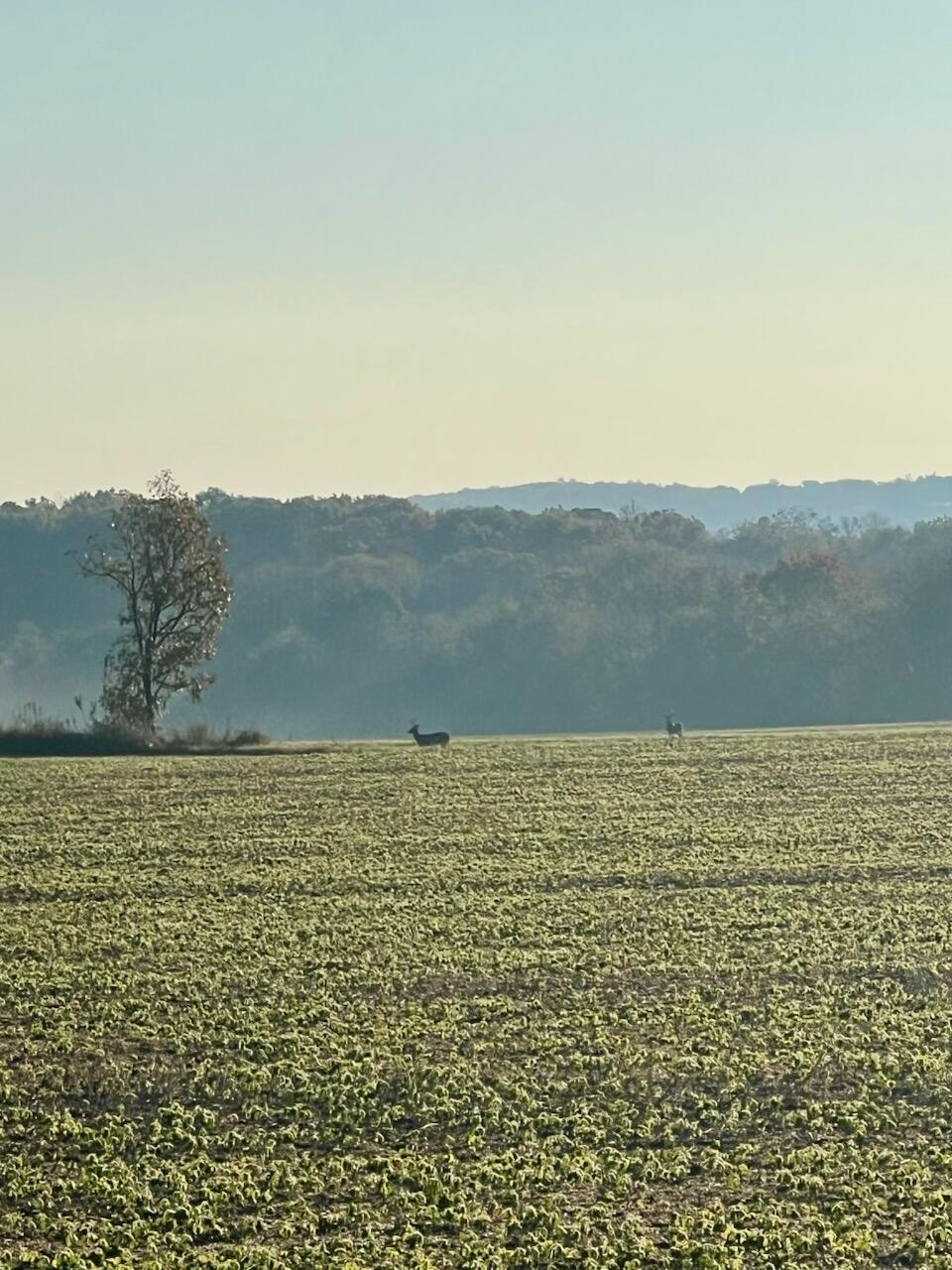 W1049 County Road D Spring Prairie, WI 53105 - Photo 67 of 76 IMG_9063