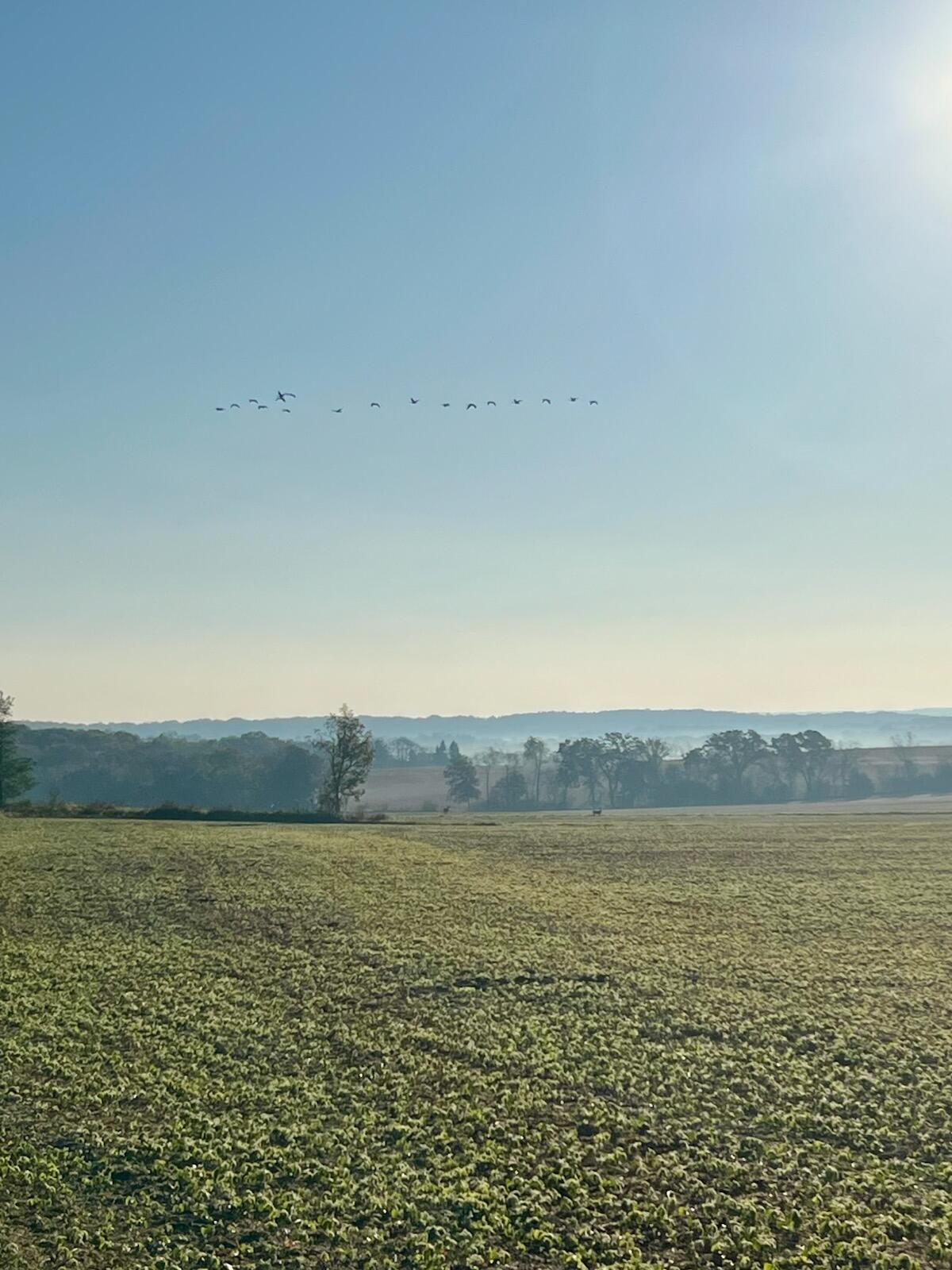 W1049 County Road D Spring Prairie, WI 53105 - Photo 68 of 76 IMG_9065