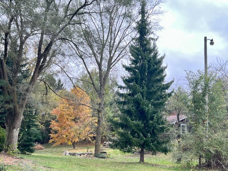 W1049 County Road D Spring Prairie, WI 53105 - Photo 70 of 76 IMG_9178
