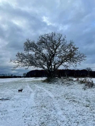 $1,250,000 | W1049 County Road D, Spring Prairie, WI 53105