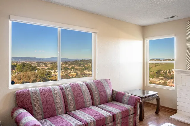 a living room with furniture a fireplace and a floor to ceiling window
