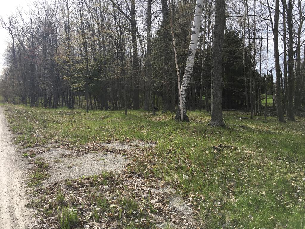 Lot 1 Deer Track Road Brussels, WI 54204 - Photo 3 of 5