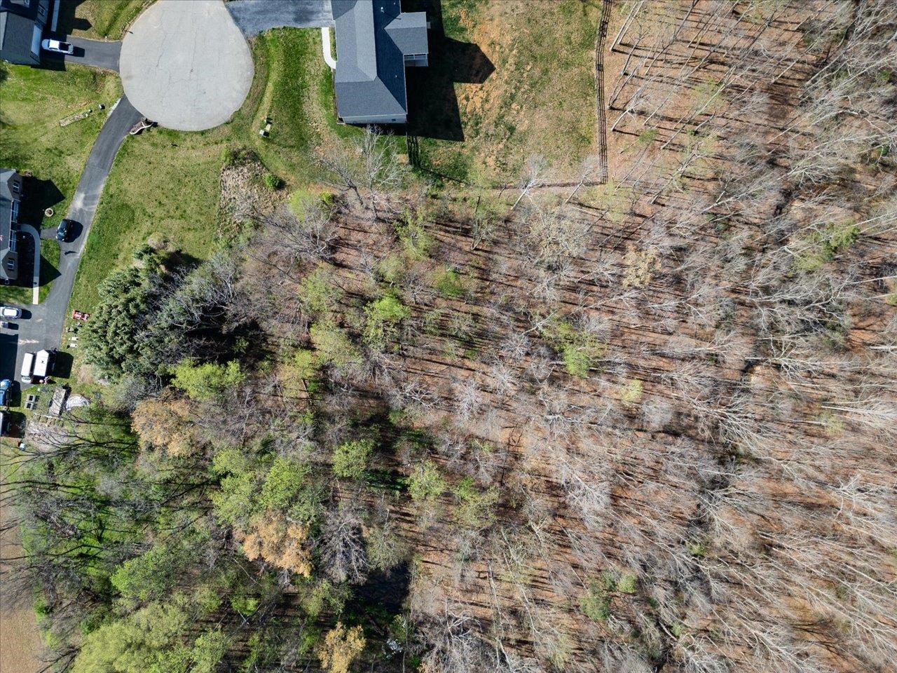 Tbd Kennedy Ridge Court Stuarts Draft, VA 24477 - Photo 3 of 10 Gallery Image 3