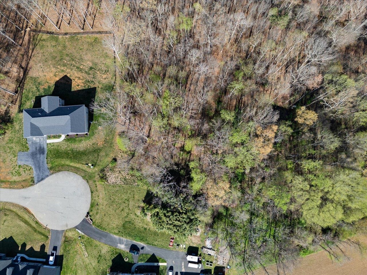 Tbd Kennedy Ridge Court Stuarts Draft, VA 24477 - Photo 10 of 10 Gallery Image 10