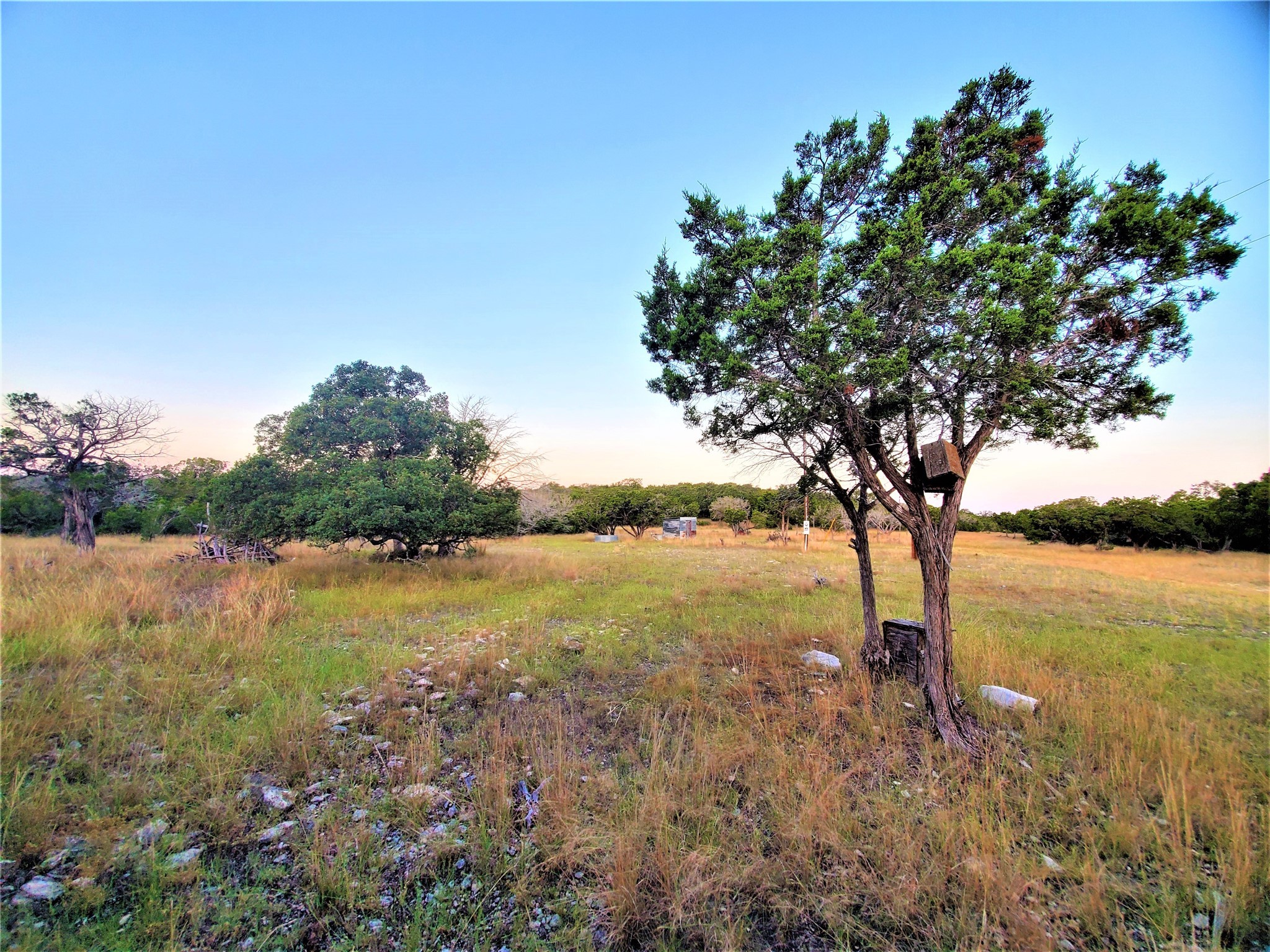 989 Cedar Ridge Road Junction, TX 76849 - Photo 12 of 50 a view of lake with green space