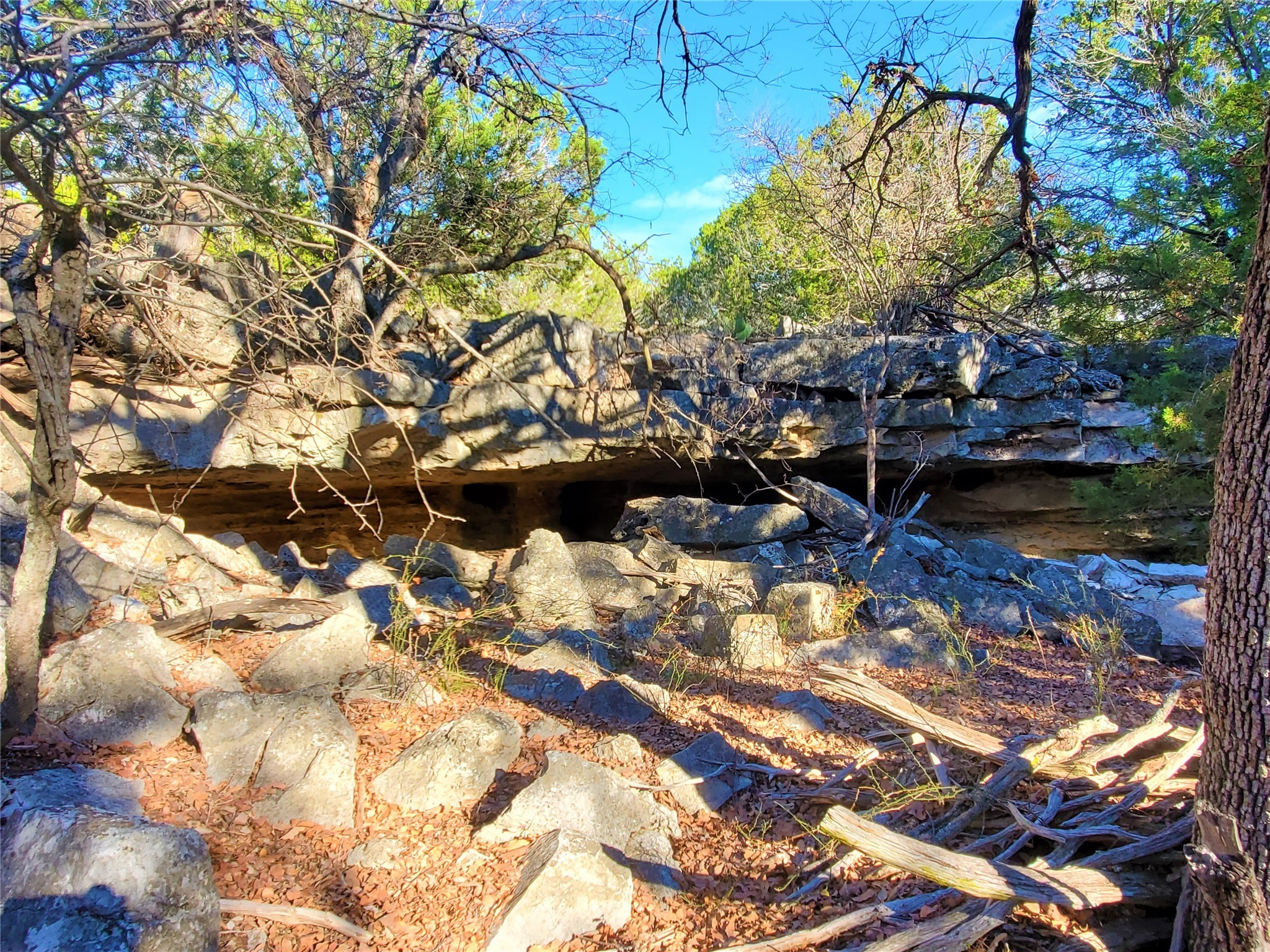 989 Cedar Ridge Road Junction, TX 76849 - Photo 19 of 50