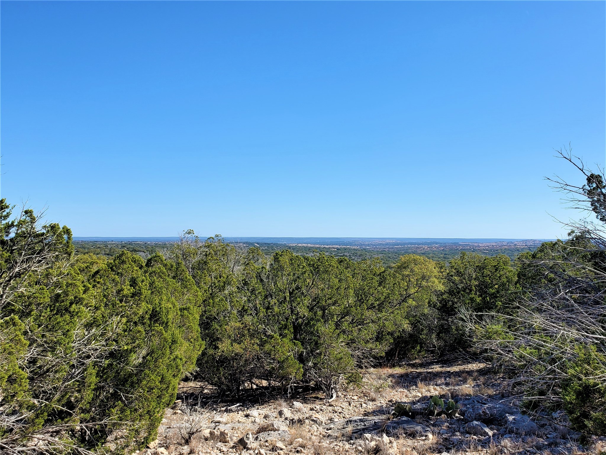 989 Cedar Ridge Road Junction, TX 76849 - Photo 23 of 50 a view of a yard with an outdoor space