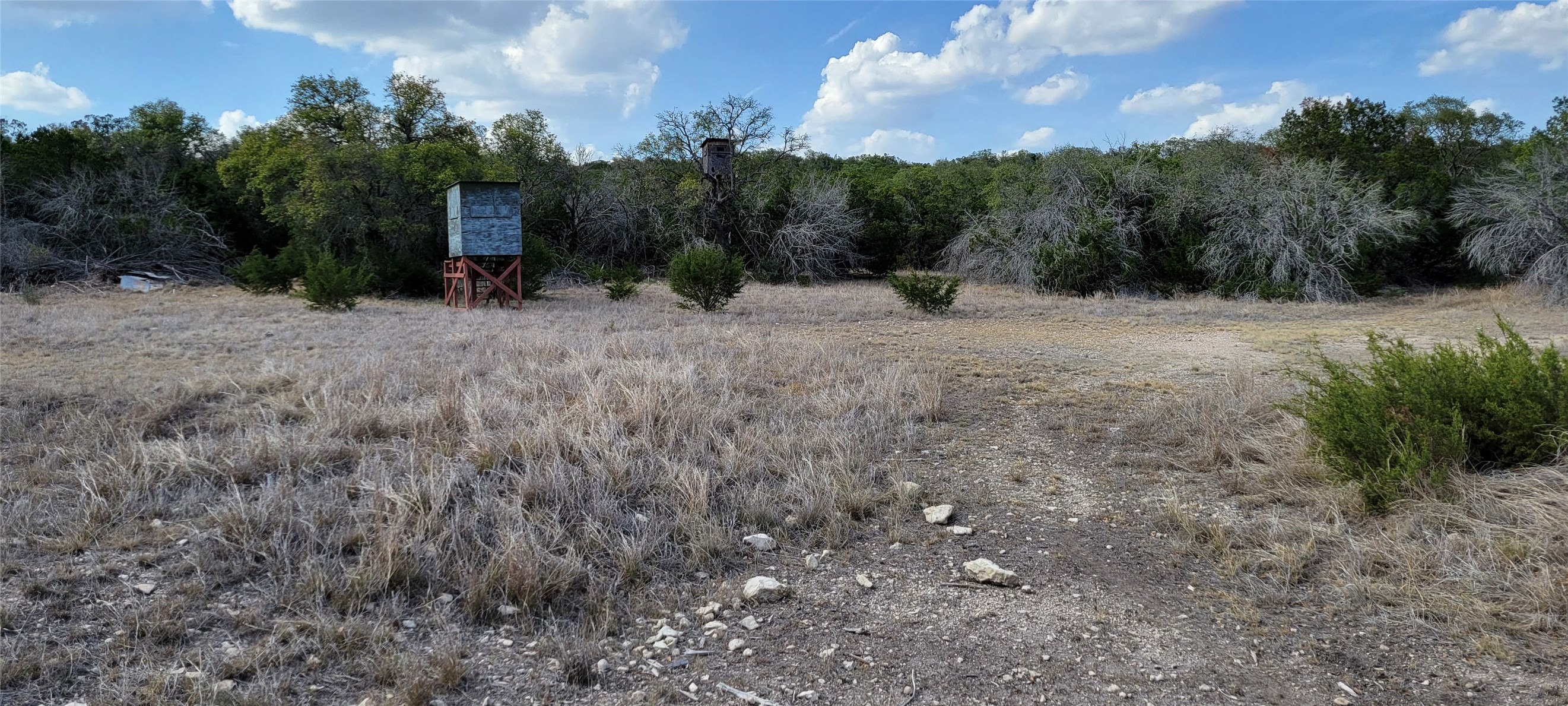 989 Cedar Ridge Road Junction, TX 76849 - Photo 25 of 50 a view of outdoor space with green field and trees