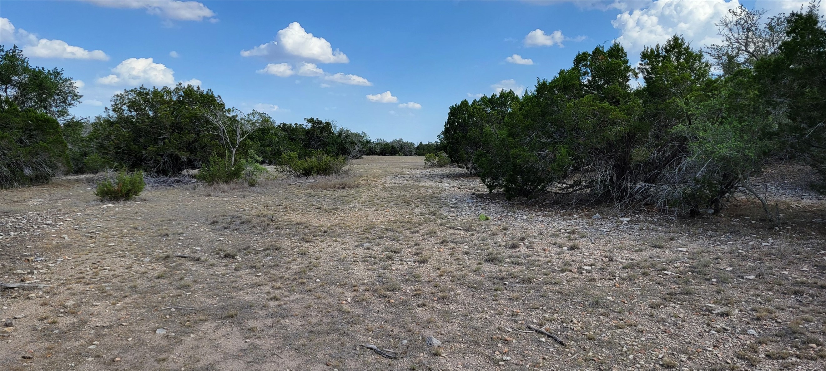 989 Cedar Ridge Road Junction, TX 76849 - Photo 26 of 50 a view of a yard with a tree