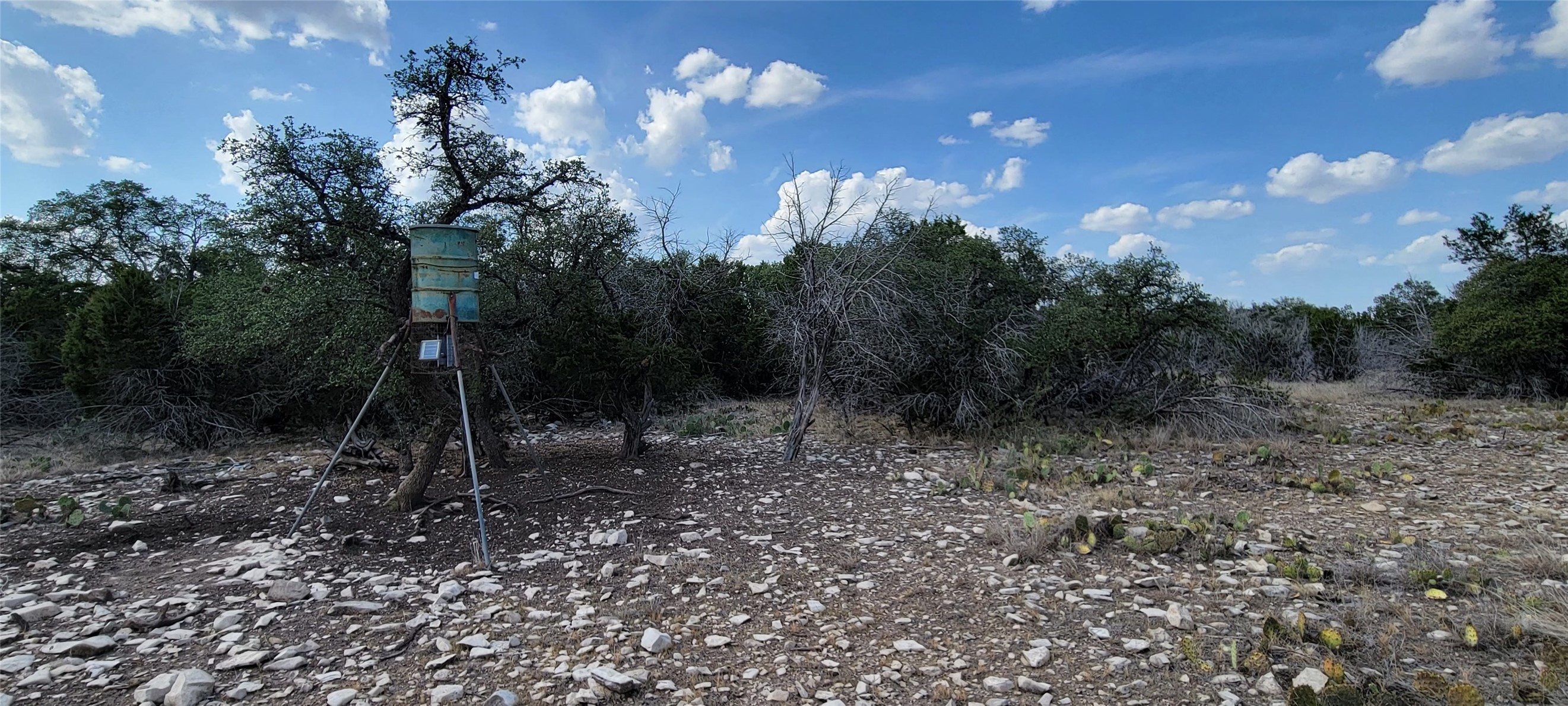 989 Cedar Ridge Road Junction, TX 76849 - Photo 28 of 50