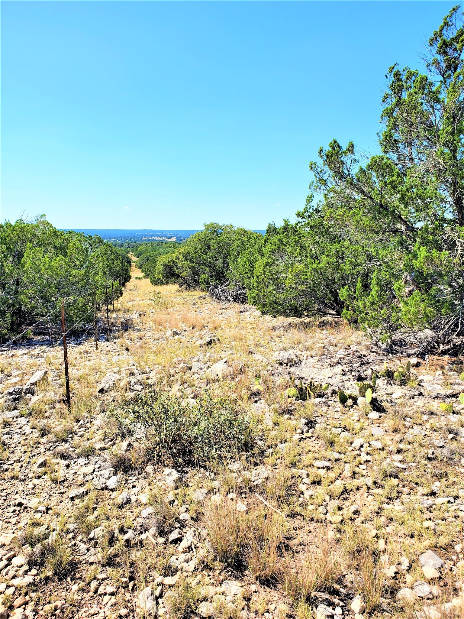 989 Cedar Ridge Road Junction, TX 76849 - Photo 34 of 50