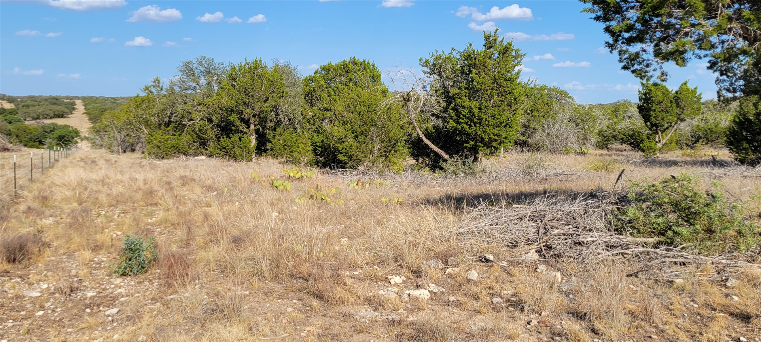 989 Cedar Ridge Road Junction, TX 76849 - Photo 36 of 50 a view of a dry yard with trees