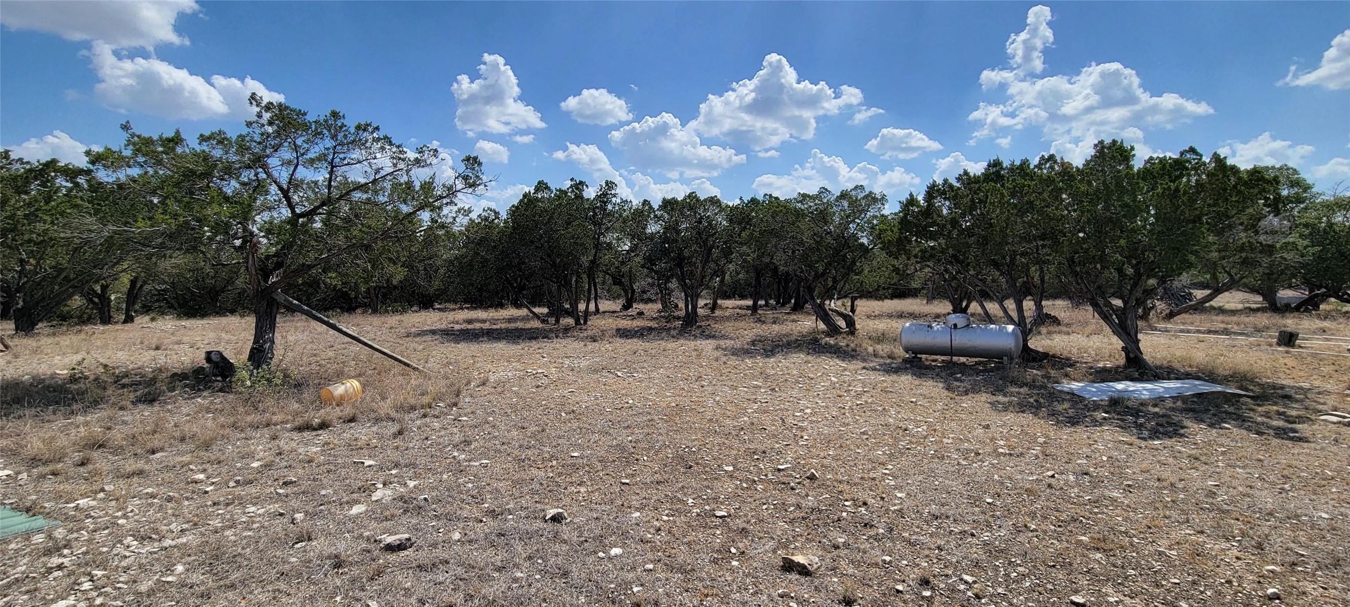 989 Cedar Ridge Road Junction, TX 76849 - Photo 42 of 50 a view of a park with large trees