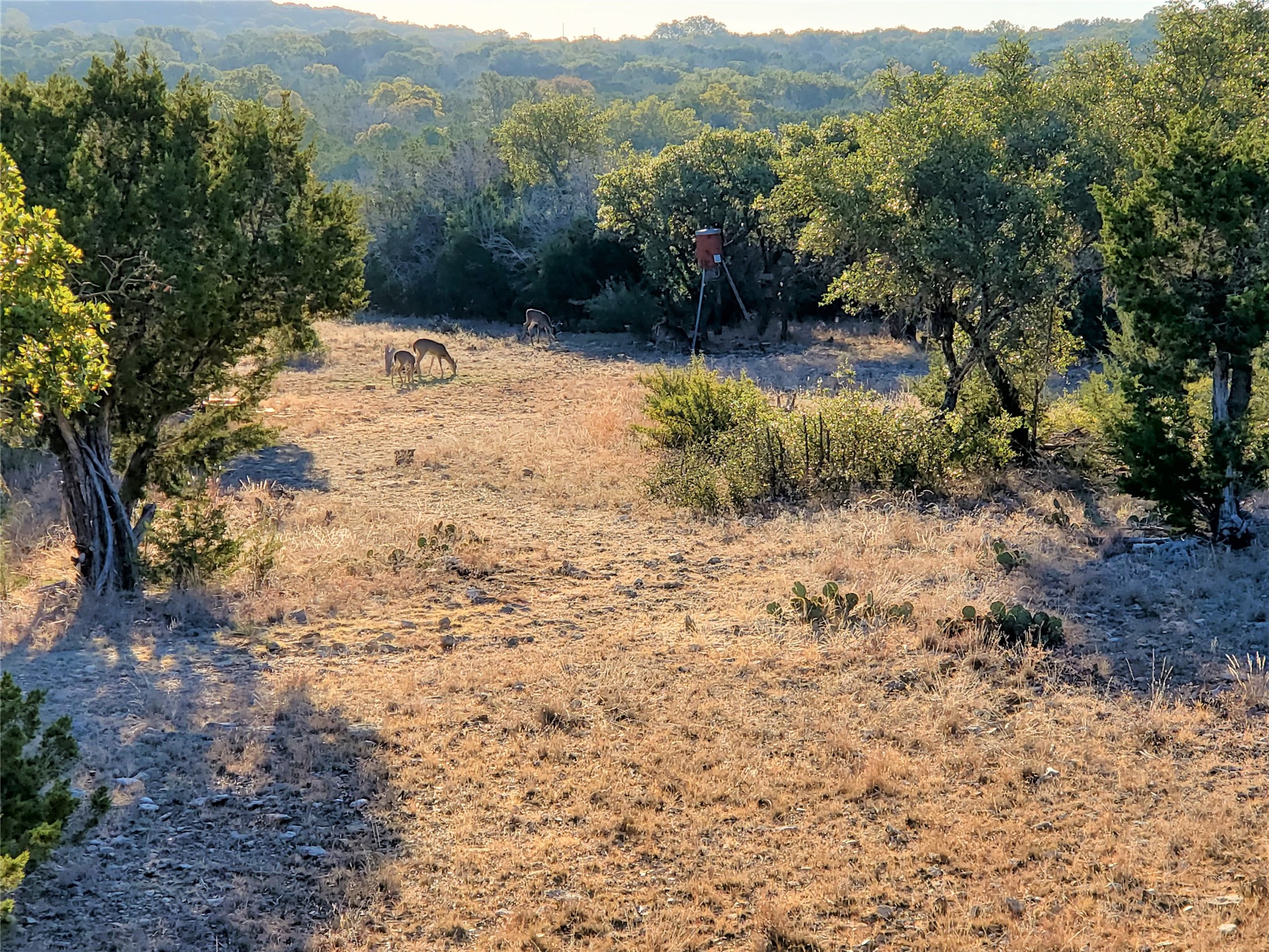 989 Cedar Ridge Road Junction, TX 76849 - Photo 10 of 50