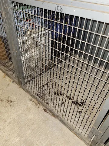 a view of livingroom with furniture