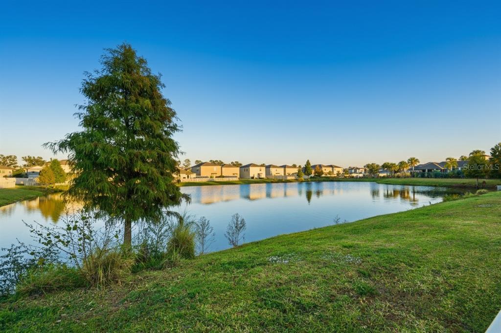 5223 Dandelion Street Apollo Beach, FL 33572 - Photo 19 of 19 a view of a lake from a yard