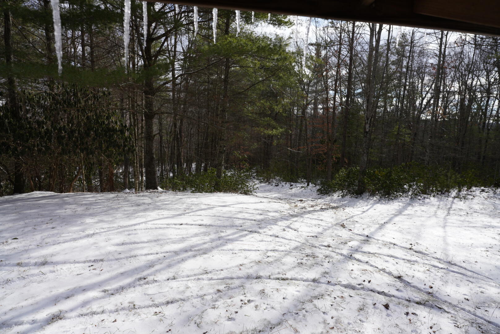 0 Higgs Road Northwest Willis, VA 24380 - Photo 20 of 34 7R409713