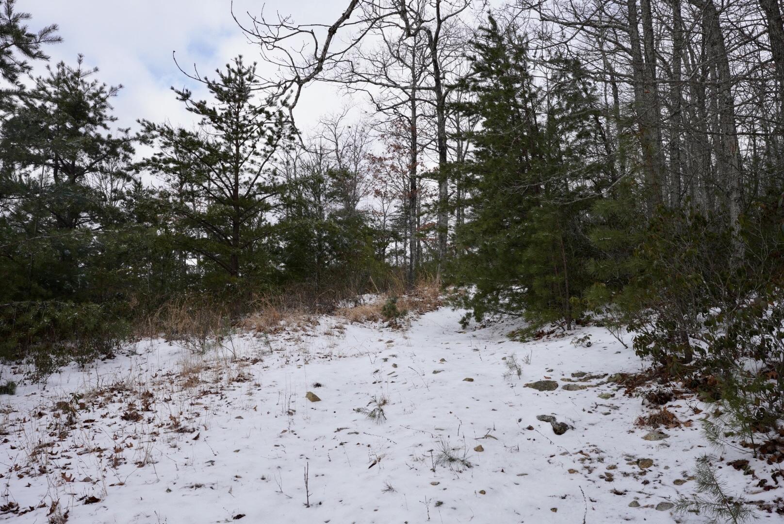 0 Higgs Road Northwest Willis, VA 24380 - Photo 21 of 34 7R409748