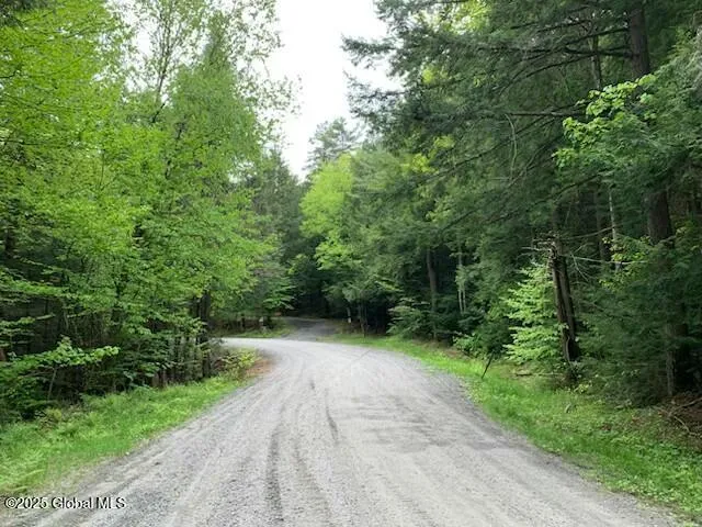 $154,900 | 0 Trout Falls Road, Bolton Landing, NY 12814