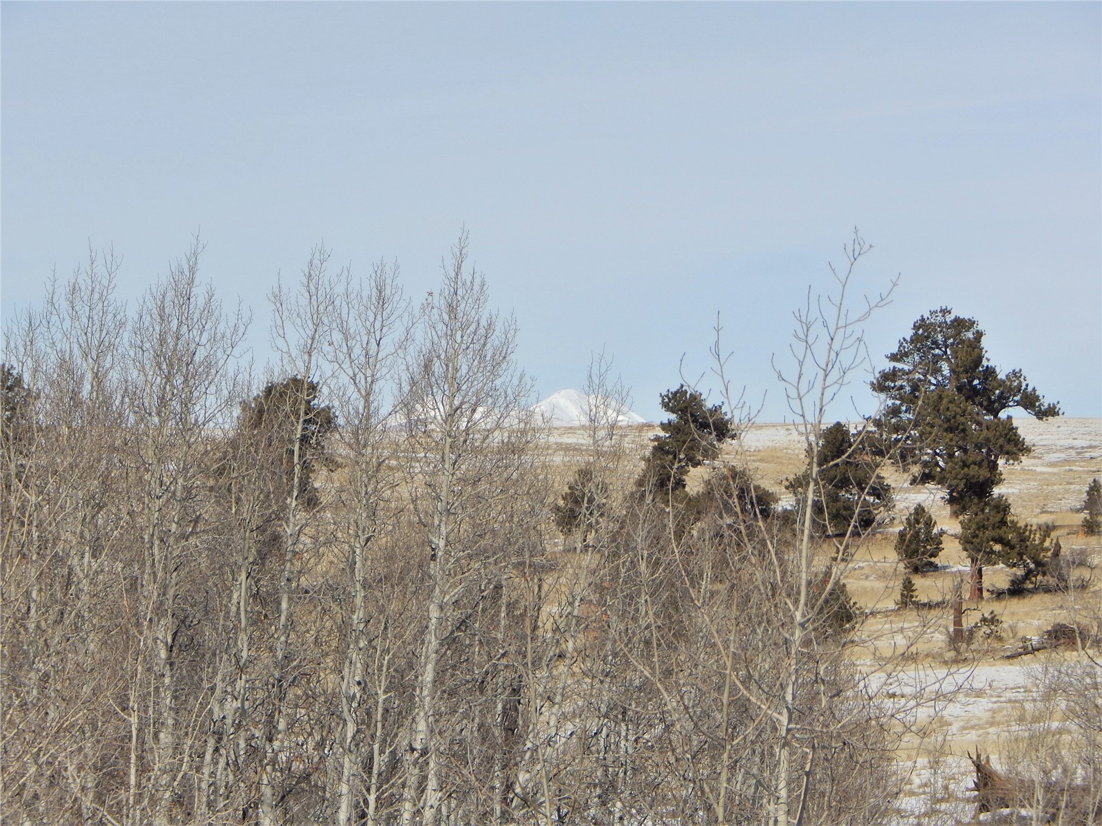 2126 Yellowstone Road Hartsel, CO 80449 - Photo 11 of 15 Gallery Image 11