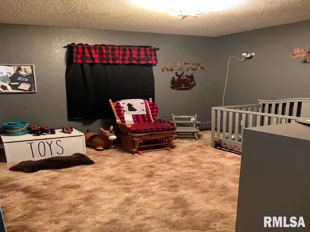 1365 Kaolin Road Cobden, IL 62920 - Photo 8 of 20 Gallery Image 8