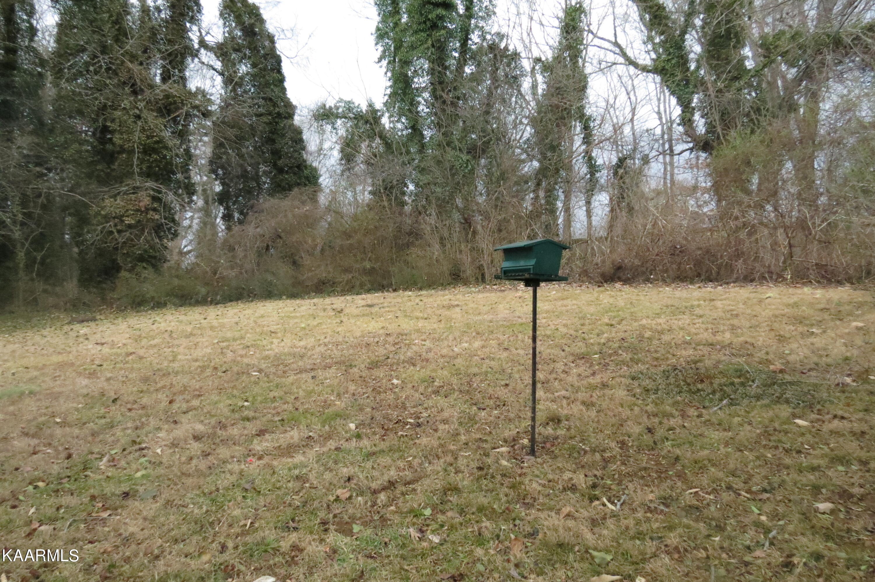 202 Outer Drive Oak Ridge, TN 37830 - Photo 19 of 20 IMG_0024