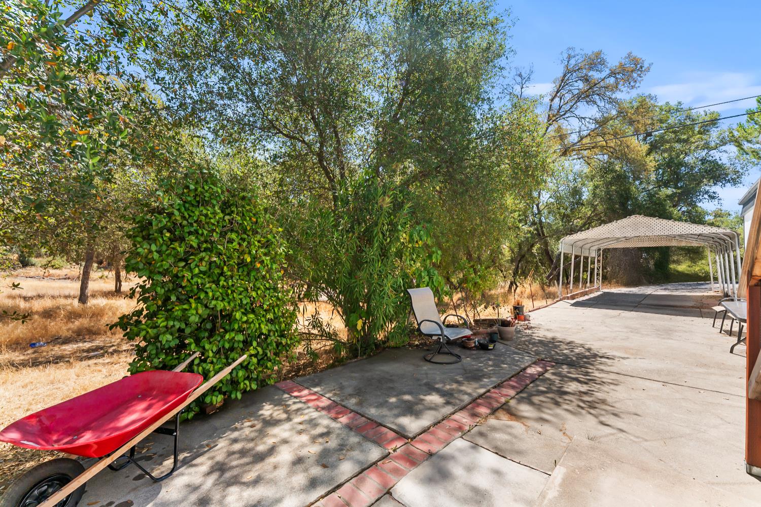 1525 Cold Springs Road, Unit 97 Placerville, CA 95667 - Photo 36 of 48 a small garden covered with tall trees