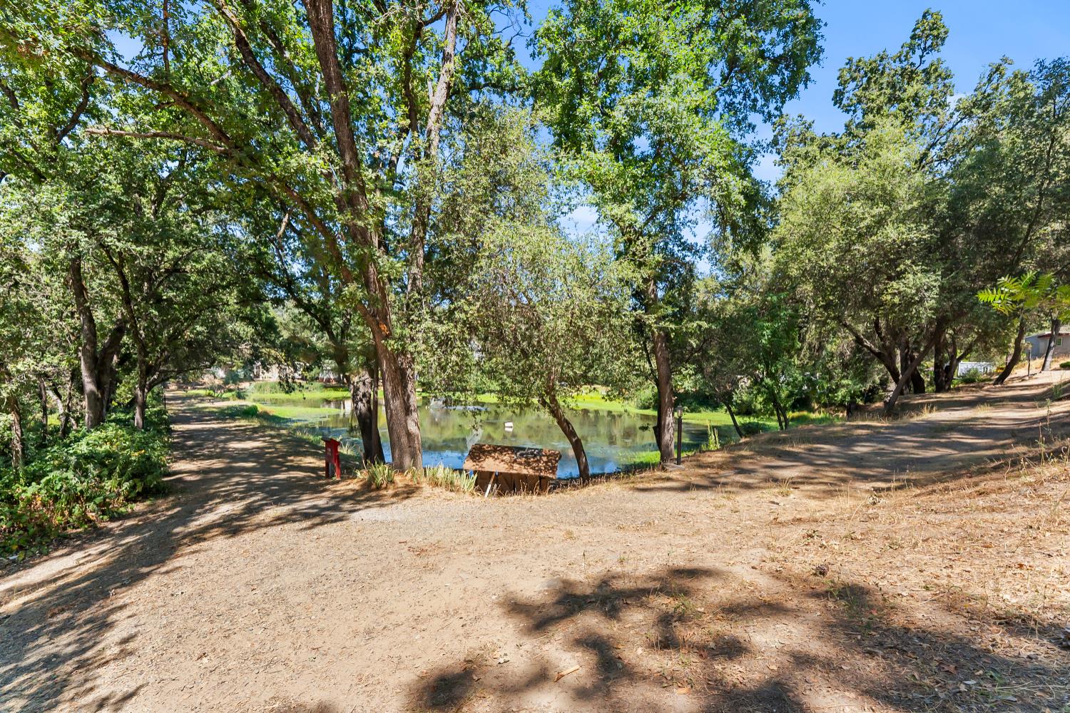 1525 Cold Springs Road, Unit 97 Placerville, CA 95667 - Photo 45 of 48 a road view with large trees