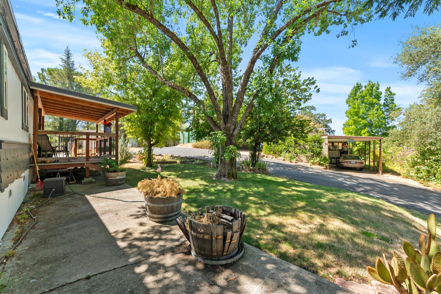 1525 Cold Springs Road, Unit 97 Placerville, CA 95667 - Photo 5 of 48 a view of a backyard with sitting area