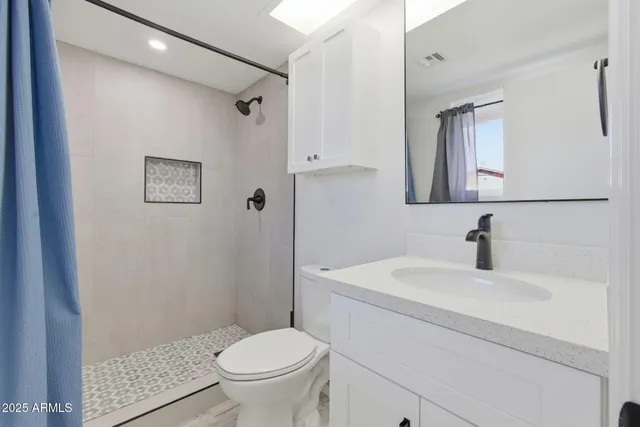 a bathroom with a sink toilet and vanity