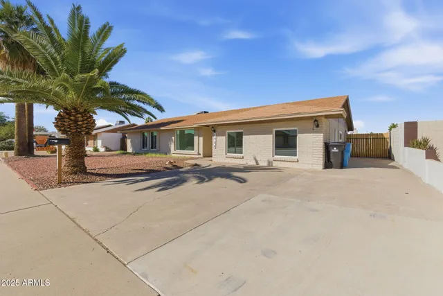 a palm tree sitting in front of a house with a yard