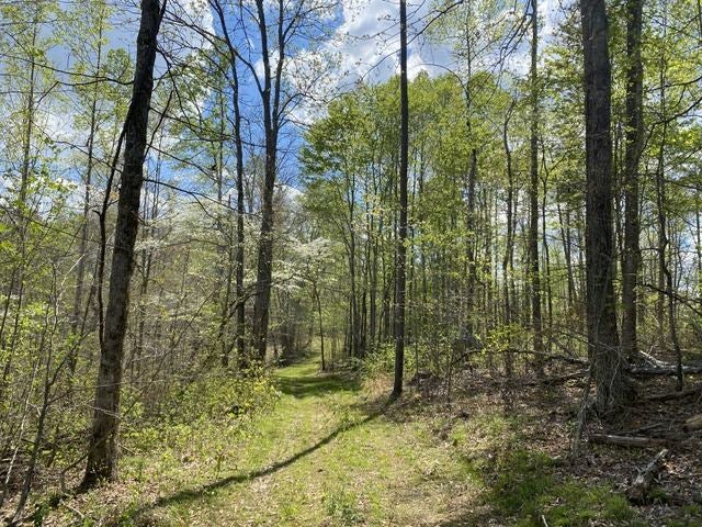 6000 Greenbriar Road Breeding, KY 42715 - Photo 15 of 29 Gallery Image 15