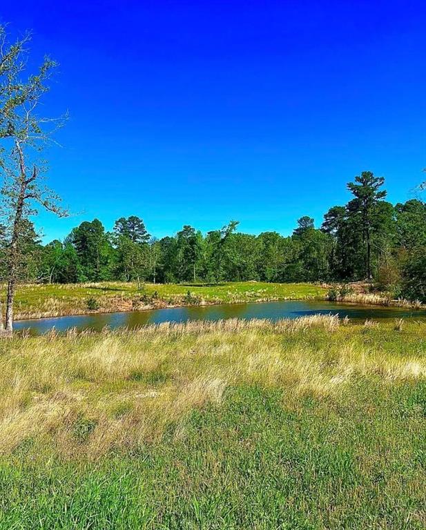 868 County Road 2920 Alba, TX 75410 - Photo 1 of 36 a view of a lake with houses in the background