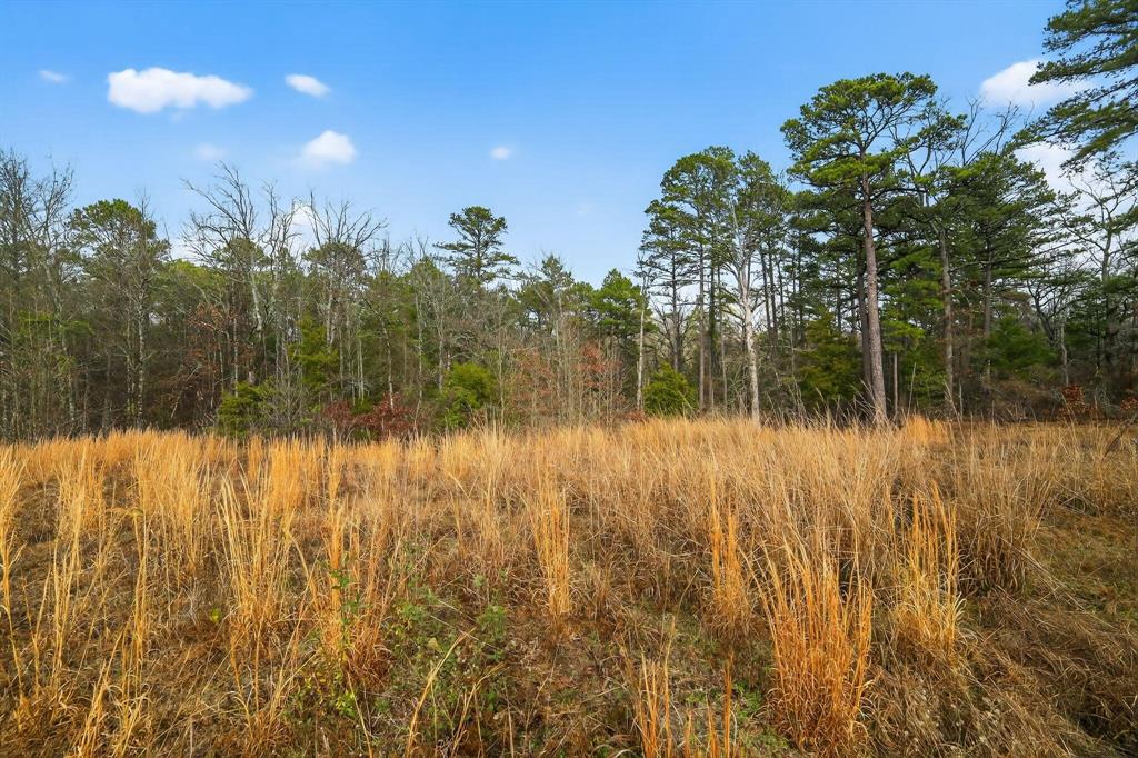 868 County Road 2920 Alba, TX 75410 - Photo 11 of 36