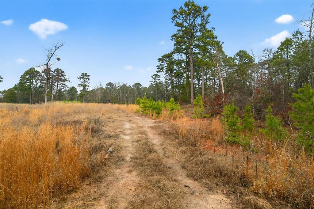 868 County Road 2920 Alba, TX 75410 - Photo 13 of 36 a view of lake view