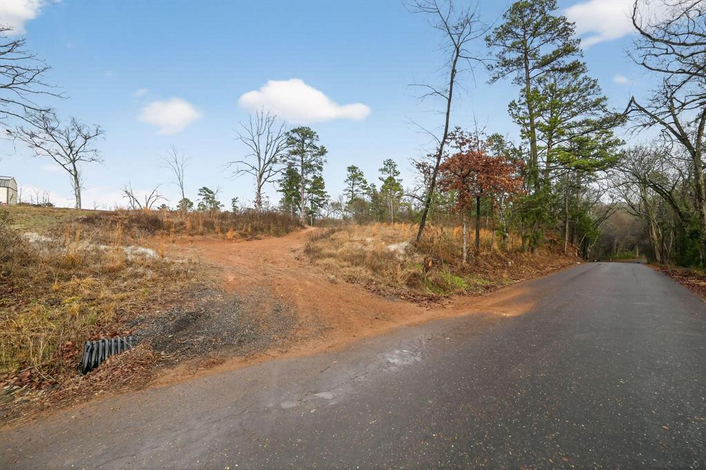 868 County Road 2920 Alba, TX 75410 - Photo 16 of 36 a view of a yard with a tree