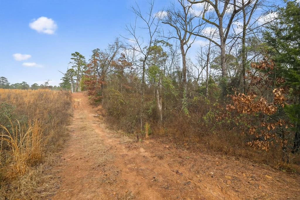 868 County Road 2920 Alba, TX 75410 - Photo 17 of 36 a view of a lake view