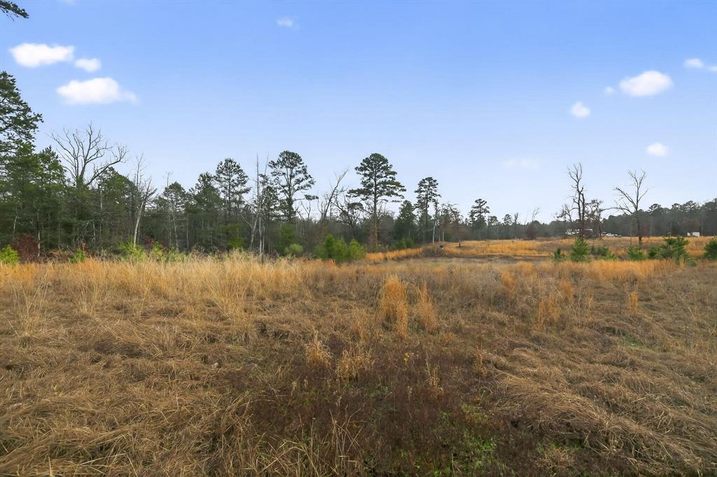 868 County Road 2920 Alba, TX 75410 - Photo 18 of 36 a view of a lake with houses in the back