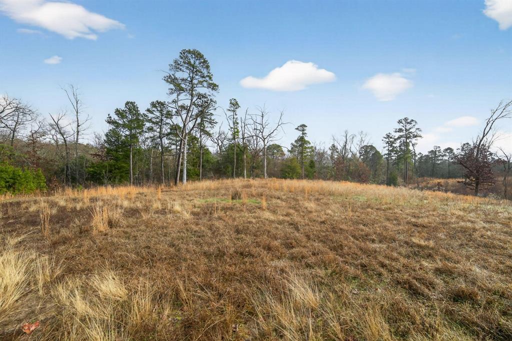 868 County Road 2920 Alba, TX 75410 - Photo 19 of 36 a view of a yard with a tree