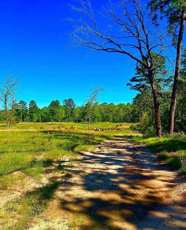 868 County Road 2920 Alba, TX 75410 - Photo 2 of 36 a view of an ocean