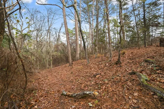 a view of a yard with lots of bushes