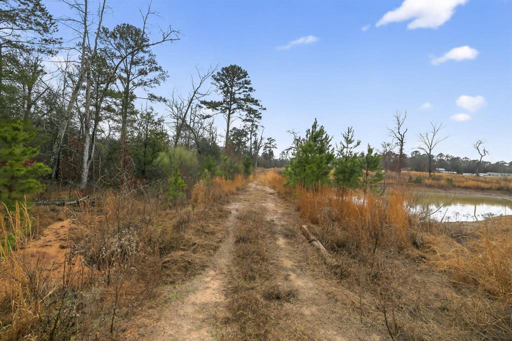 868 County Road 2920 Alba, TX 75410 - Photo 22 of 36 a view of lake