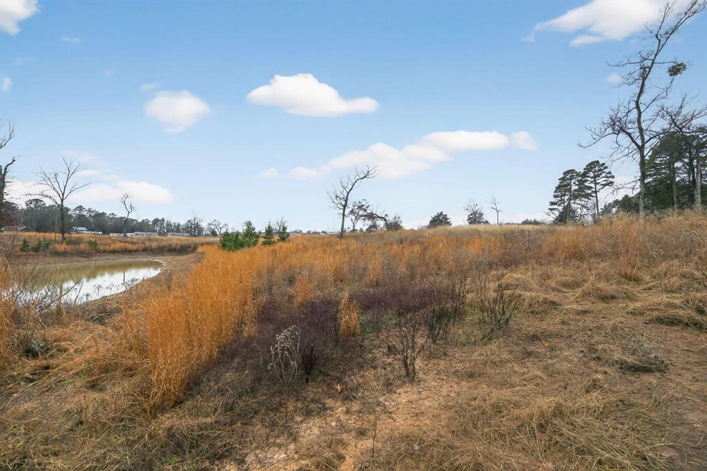 868 County Road 2920 Alba, TX 75410 - Photo 26 of 36 a view of a lake and mountain in the back