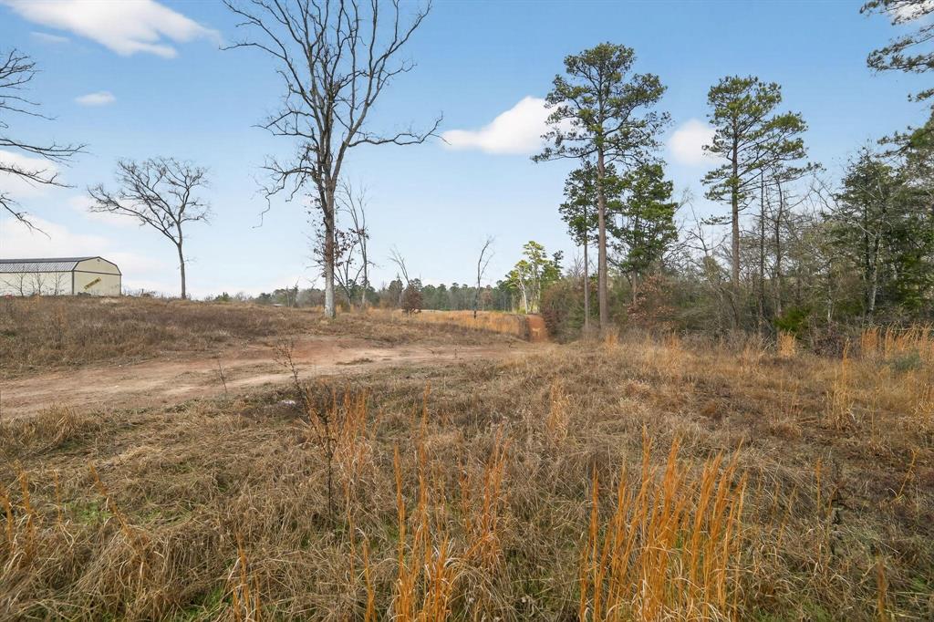 868 County Road 2920 Alba, TX 75410 - Photo 27 of 36 a view of lake view with trees